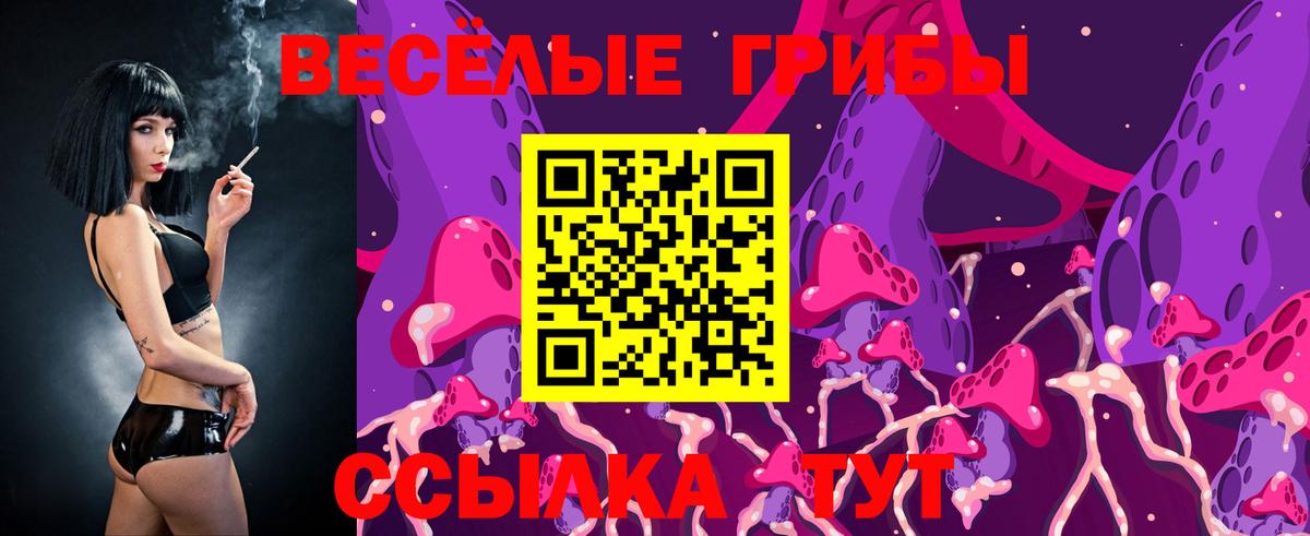 Галлюциногенные грибы прущие грибы  Вход с VPN  Гагарин 